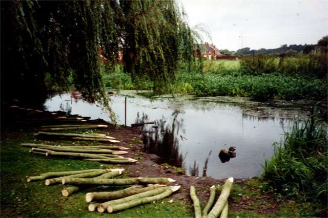 <span>Ref: D10</span><br>Long posts ready for use at the sight of this river bank erosion.