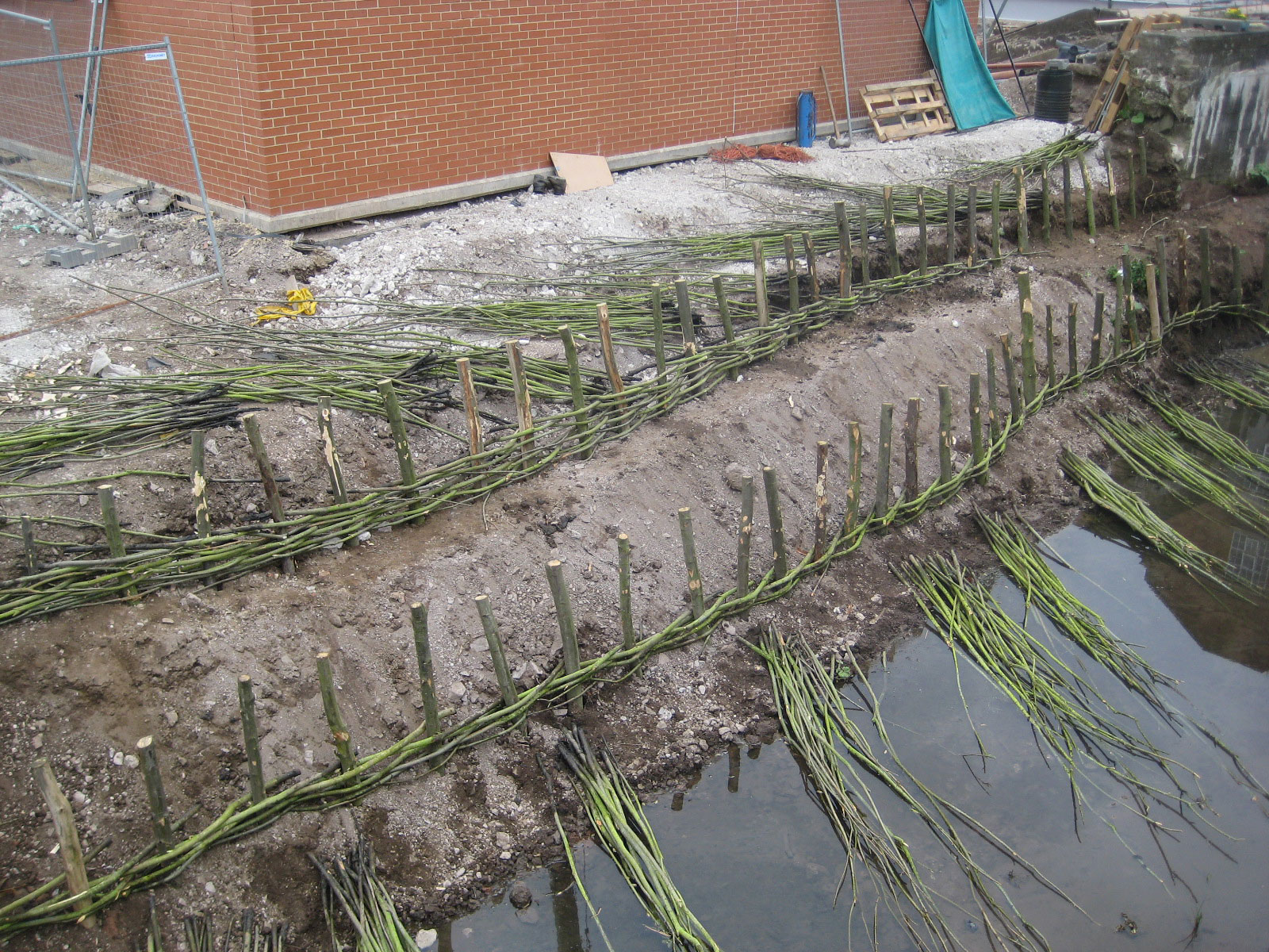 <span>Ref: D5</span><br>Stout living posts driven into the ground at half metre intervals.